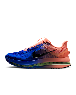 NIKE+PEGASUS+PREMIUM.png